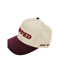 Retro Ripped Hat