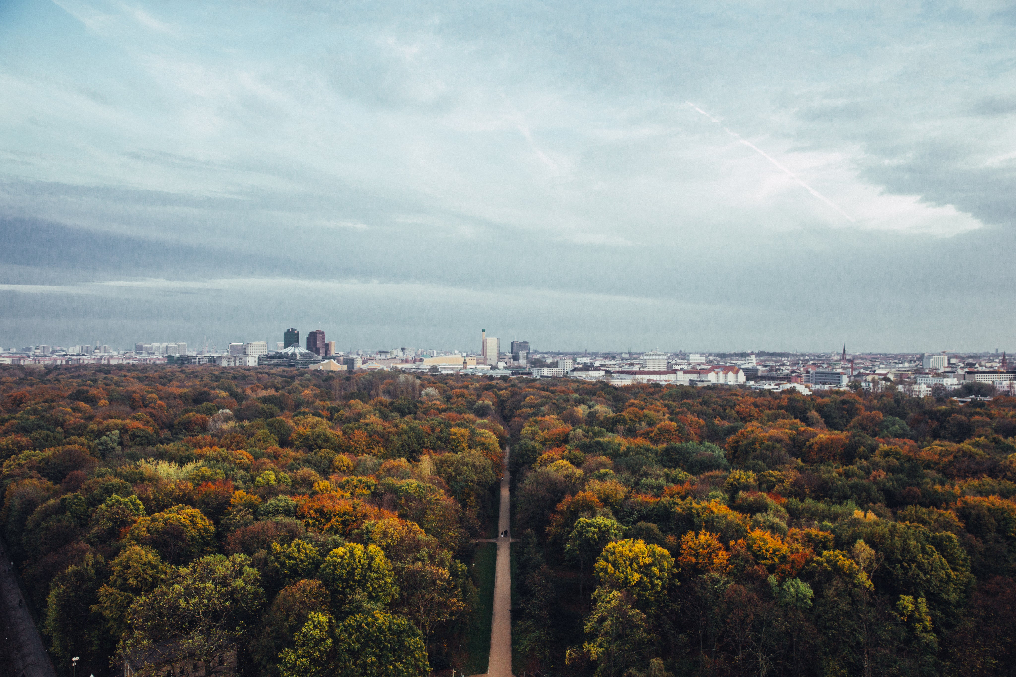 fall-forest-and-city-view.jpg